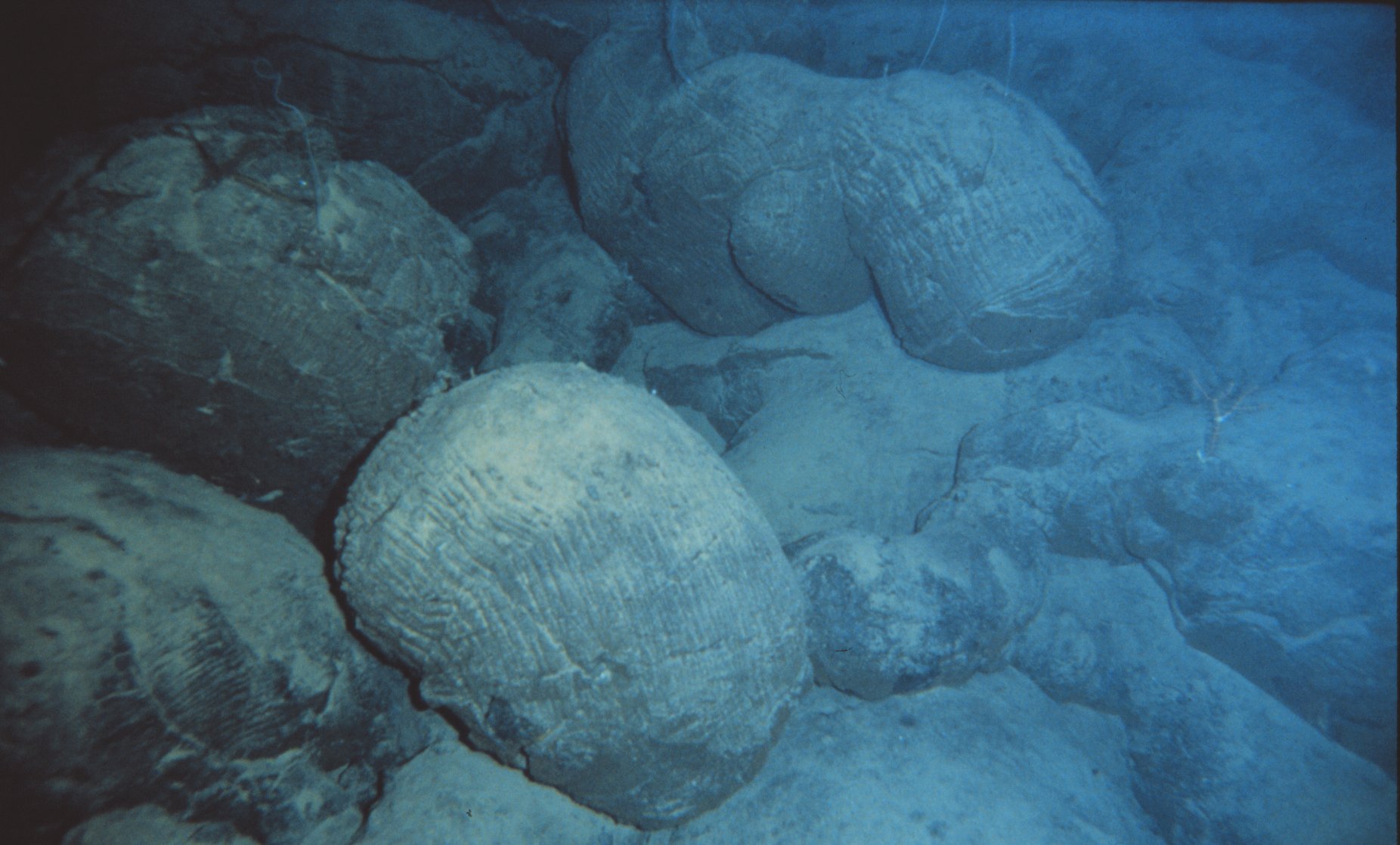 Pillow lava picture